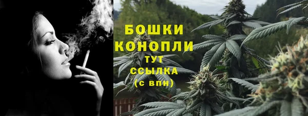 бошки Осинники
