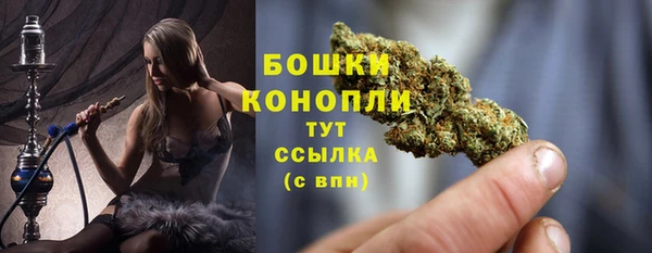 бошки Осинники
