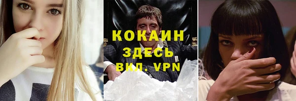 бошки Осинники