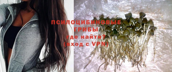 мескалин Осташков