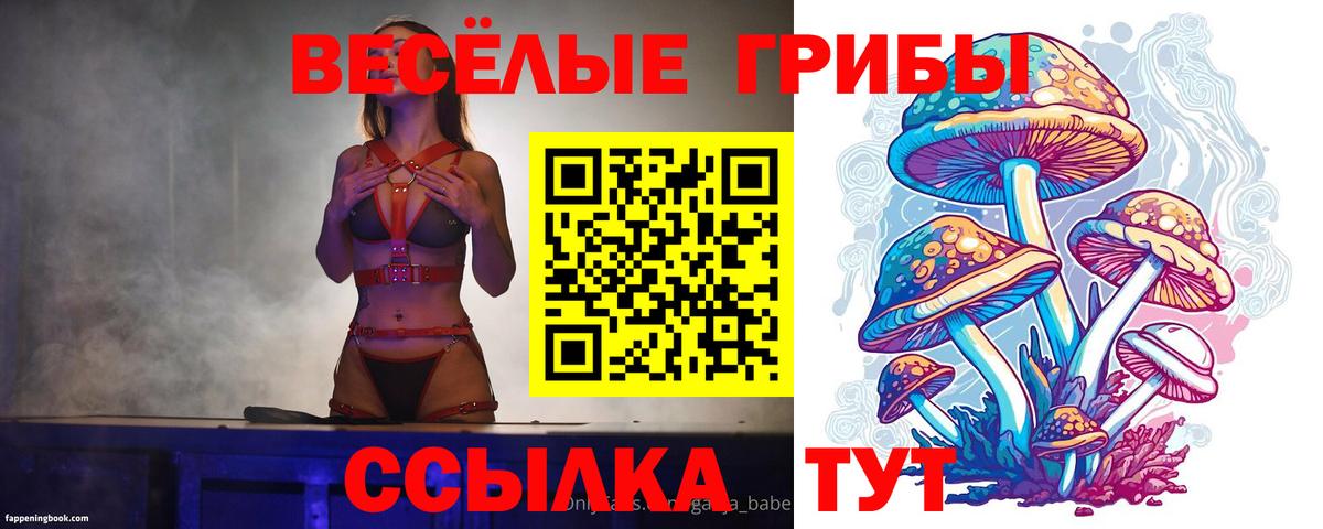 Псилоцибиновые грибы мухоморы Асино