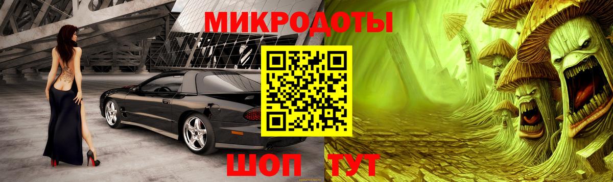 Галлюциногенные грибы мухоморы  Вход с VPN  Асино  Псилоцибиновые грибы Psilocybe 